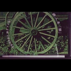 病人車「鬱」