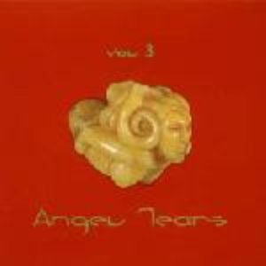 Angel Tears, Volume 3