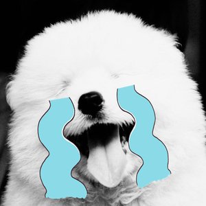 Аватар для 白成永