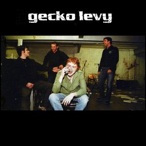 Gecko Levy 的头像