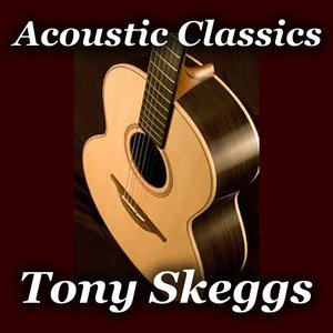 Acoustic Guitar Melodies: Classics