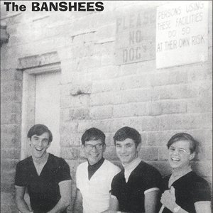 Image for 'Banshees'