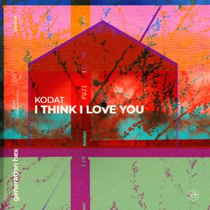 I Think I Love You
