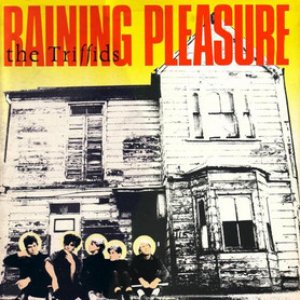 Raining Pleasure