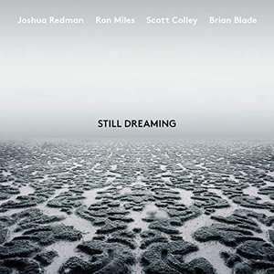 Unanimity (feat. Ron Miles, Scott Colley & Brian Blade)