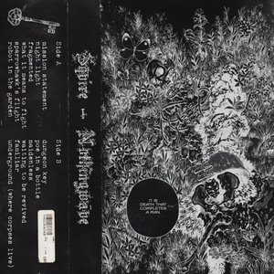 nothingwave i