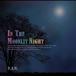 IN THE MOONLIT NIGHT
