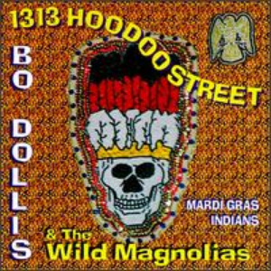 The Wild Magnolias - 100 Hits Best Of 2013 - Zortam Music