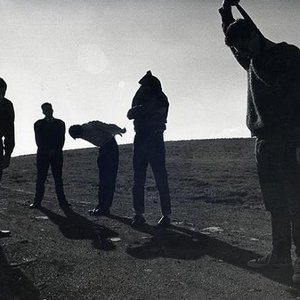 Avatar for Mushroom's Patience