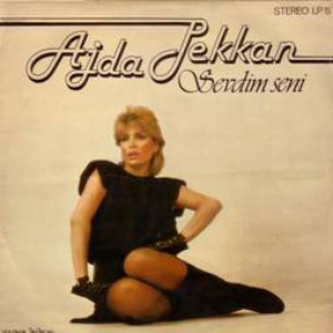 Sevdim Seni cover