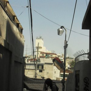 Angela Cameron 的头像