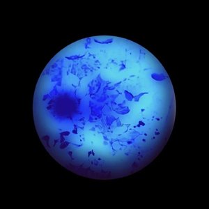 741 Hz (Throat Chakra)