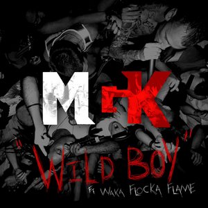 'Wild Boy'の画像