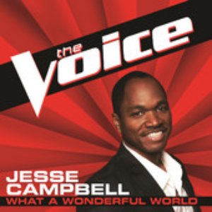 What a Wonderful World (The Voice Performance) - Single