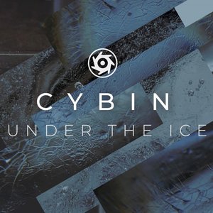 Under the Ice