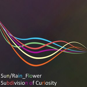 Subdivision of Curiosity