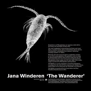 The Wanderer