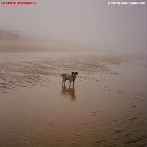 UOMINI CANI GABBIANI