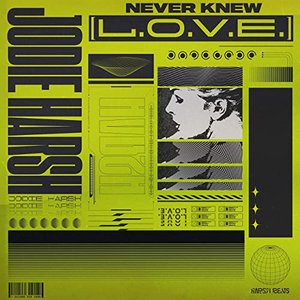 Never Knew (L.O.V.E.)