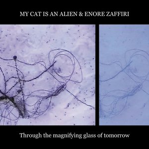 Through the Magnifying Glass of Tomorrow