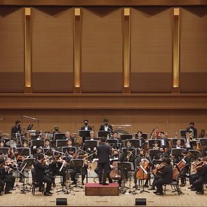 Avatar di ACE COMBAT 25th anniversary AIR TACTICAL ORCHESTRA