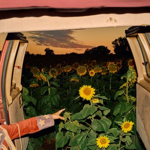 The artwork for the song Die Young by the artist Kevin Morby