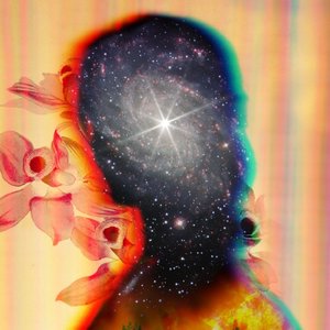Electric Sparrow 的头像