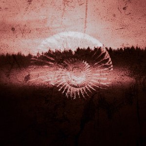 Mystisen naaraan portti