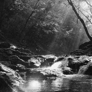 Dawn on a Brazilian stream