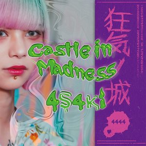 Castle In Madness (First Edition)