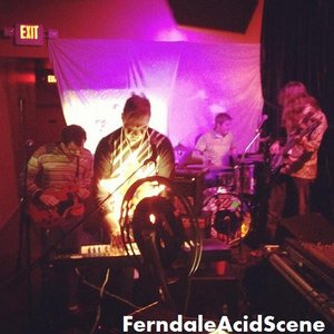 Image for 'Ferndale Acid Scene'