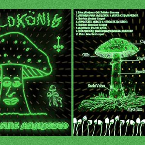 MUSHROOM CULT MANIFESTO