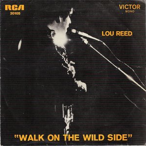 Walk On The Wild Side