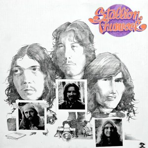 Stallion Thumrock