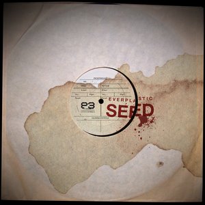 Seed