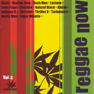 Reggae Now Vol. 3