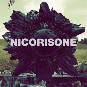Nicorisone 的头像