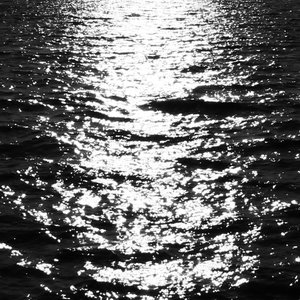 Dramatic Illusion 的头像