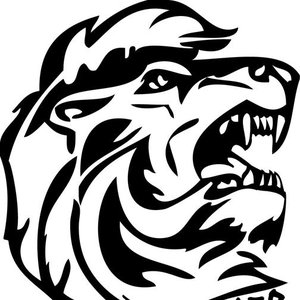 lion rider 的头像