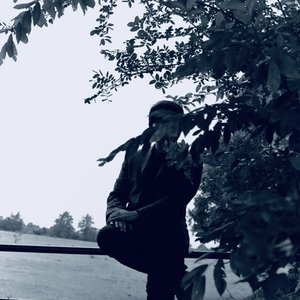 Avatar di Dog Fossil