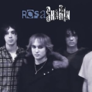 Rosasharin 的头像