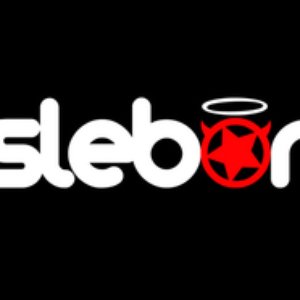 slebor 的头像