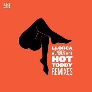 Wonderwhy: Hot Toddy Remixes