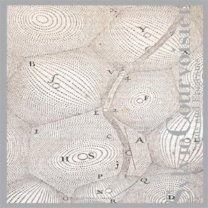 Signs and Epigrams cover