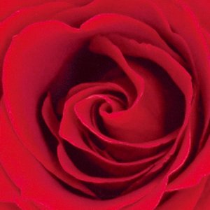 L'amour