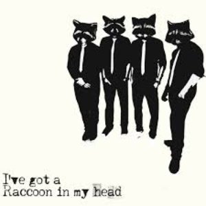 I've Got A Raccoon In My Head