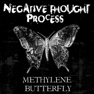 Methylene Butterfly