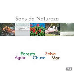 Sons Da Natureza