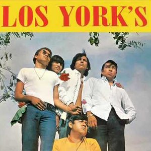 Los York's