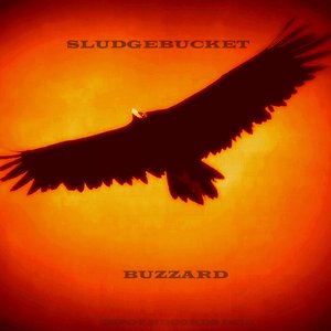 Buzzard